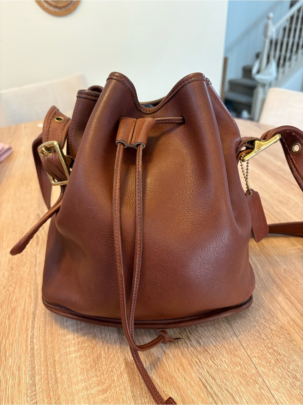 Coach Lula's Legacy Bucket Bag Leather - Picture 13 of 13
